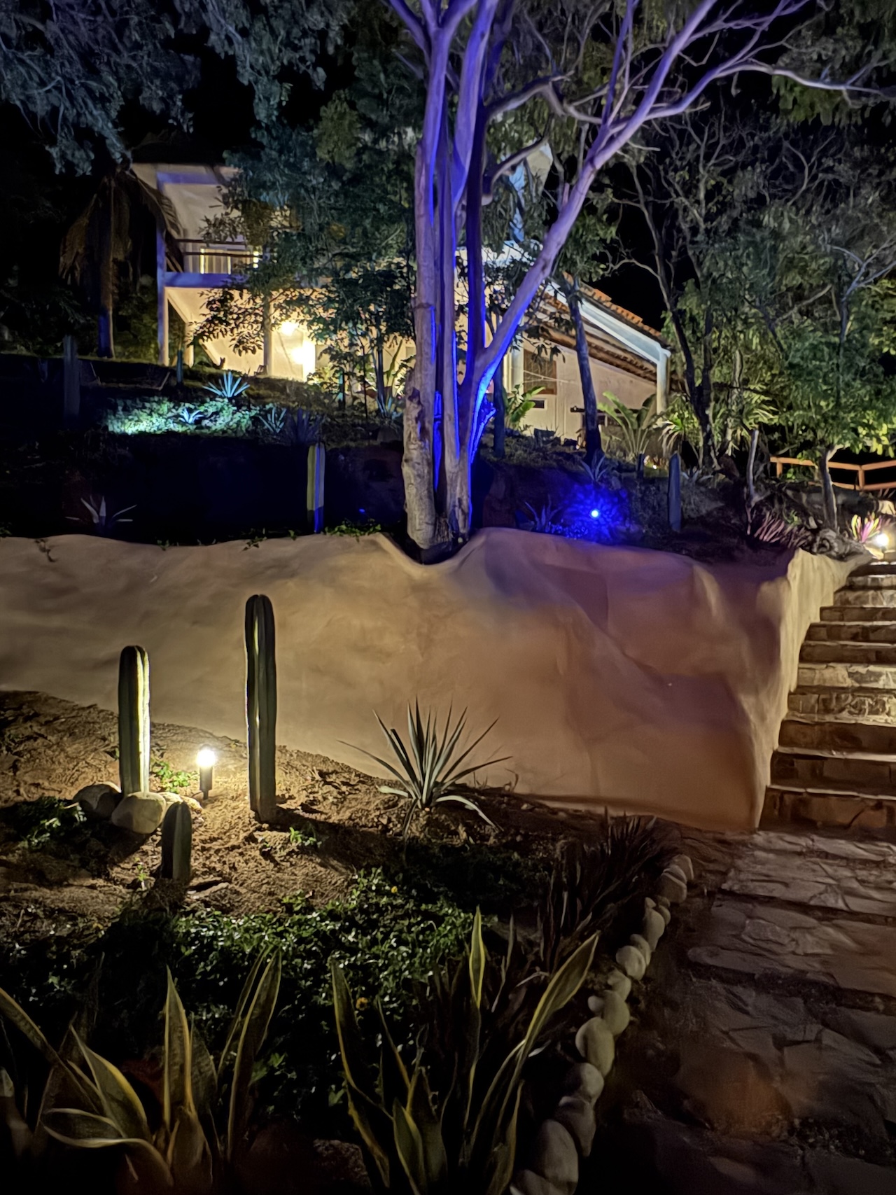 Garden and stairs at night